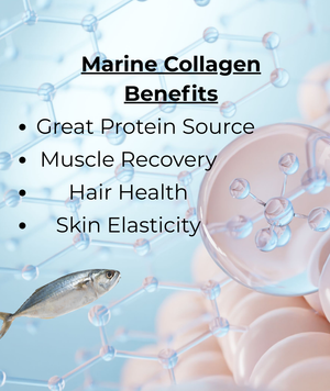 Protein Gummy Bears Blueberry Smash 100g